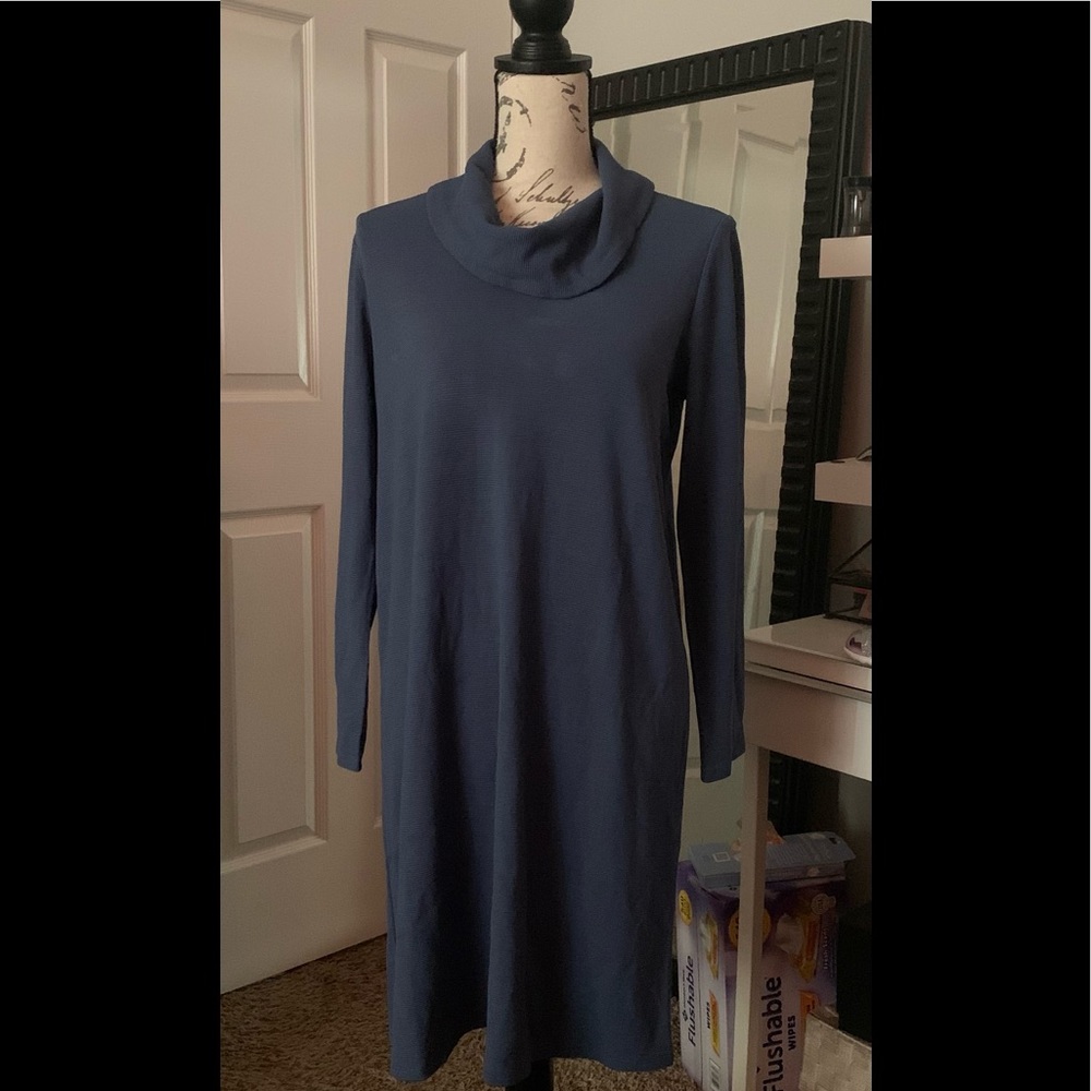 J.Jill Blue long sleeve dress